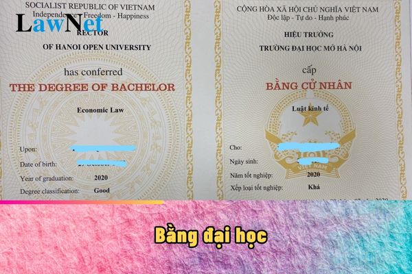 Làm mất bằng đại học có được xin cấp lại không?