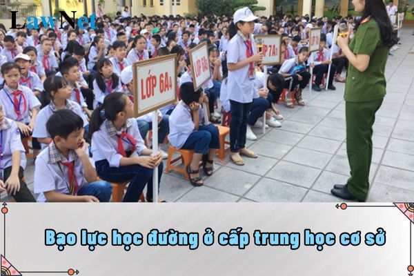 Bạo lực học đường ở cấp trung học cơ sở được hiểu như thế nào?