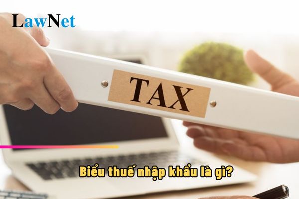 Biểu thuế nhập khẩu là gì?