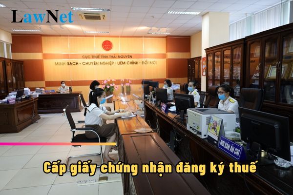 Cơ quan thuế phải cấp giấy chứng nhận đăng ký thuế trong mấy ngày?