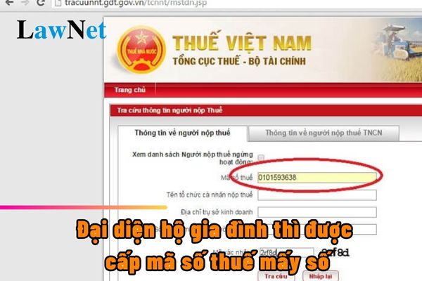 Đại diện hộ gia đình thì được cấp mã số thuế mấy số?