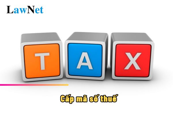 How long after tax registration will a household receive a tax identification number?