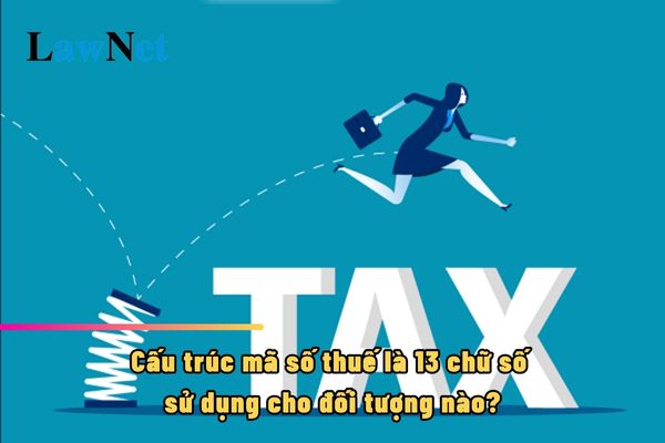 Cấu trúc mã số thuế là 13 chữ số sử dụng cho đối tượng nào?