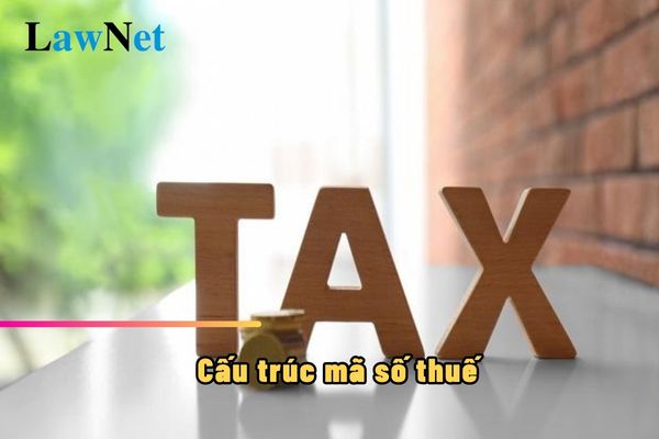 Cấu trúc mã số thuế như thế nào? Mẫu Thông báo mã số thuế cá nhân mới nhất 2024?