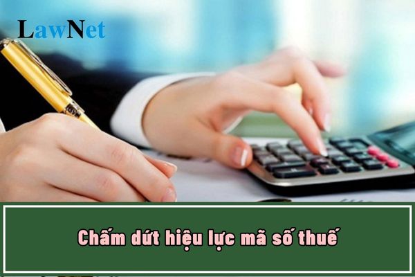 Không hoạt động tại địa chỉ đã đăng ký có bị chấm dứt hiệu lực mã số thuế không?