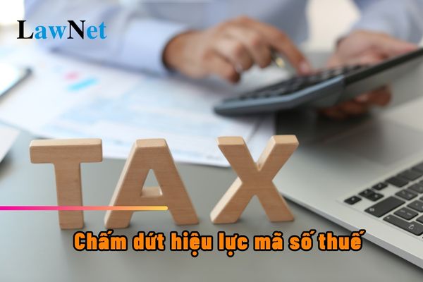 Nhà thầu nước ngoài khi kết thúc hợp đồng thuộc trường hợp chấm dứt hiệu lực mã số thuế không?