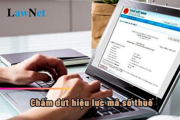 Người nộp thuế mất tích thì có chấm dứt hiệu lực mã số thuế không?