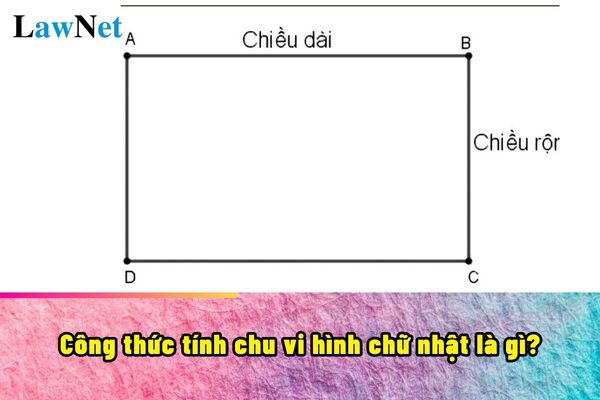 Công thức tính chu vi hình chữ nhật là gì? Công thức tính chu vi hình chữ nhật được học từ lớp mấy?