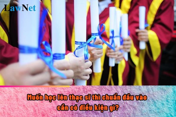 Muốn học lên thạc sĩ thì chuẩn đầu vào cần có điều kiện gì?