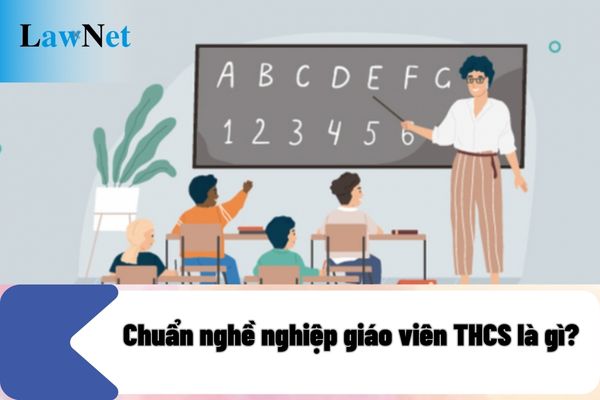 Chuẩn nghề nghiệp giáo viên THCS là gì? Tiêu chuẩn để đạt chuẩn nghề nghiệp giáo viên THCS về phẩm chất như thế nào?