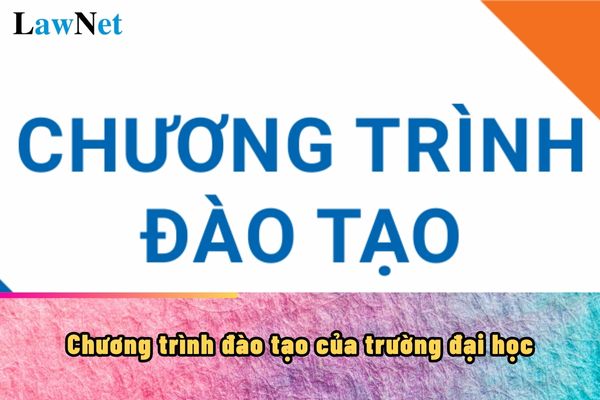 Chương trình đào tạo của trường đại học được xây dựng như thế nào?