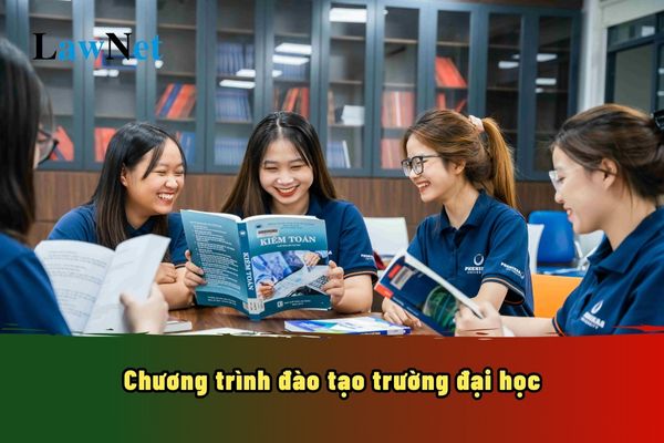 Chương trình đào tạo trường đại học có cần phải đủ các học phần bắt buộc không?