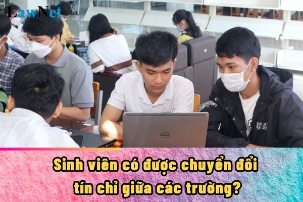 Sinh viên đại học muốn chuyển điểm giữa các trường đại học có được không?