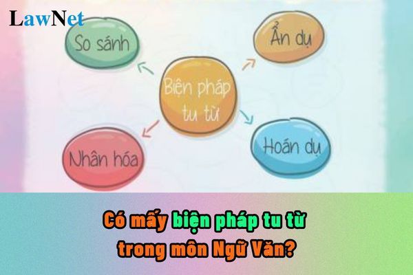 Có mấy biện pháp tu từ trong môn Ngữ Văn? Biện pháp tu từ trong môn Ngữ Văn sẽ có trong chương trình cấp học nào?