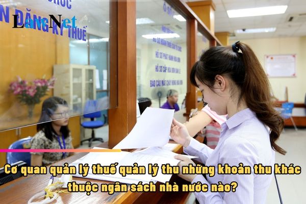 Cơ quan quản lý thuế quản lý thu những khoản thu khác thuộc ngân sách nhà nước nào?