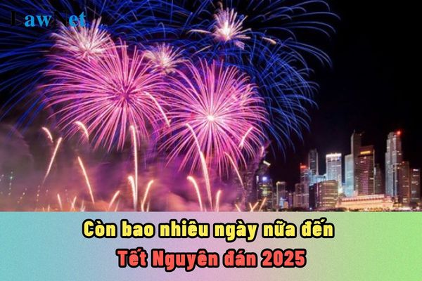 Còn bao nhiêu ngày nữa đến Tết Nguyên đán 2025?