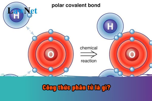 Công thức phân tử là gì? Viết công thức phân tử? Tìm hiểu và học về ...