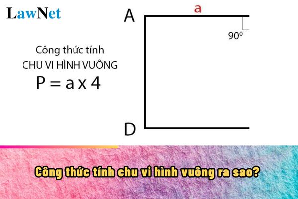 Công thức tính chu vi hình vuông ra sao? Môn Toán nhằm giúp học sinh tiểu học phải đạt các mục tiêu nào?