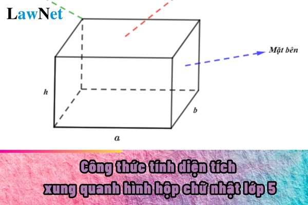 Diện tích xung quanh hình hộp chữ nhật lớp 5 như thế nào?