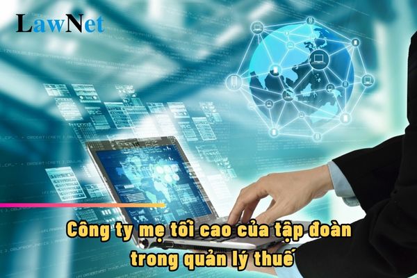 Công ty mẹ tối cao của tập đoàn trong quản lý thuế là gì?