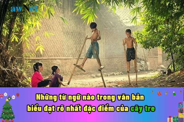 Những từ ngữ nào trong văn bản biểu đạt rõ nhất đặc điểm của cây tre? Kiến thức văn học của học sinh lớp 7 ra sao?