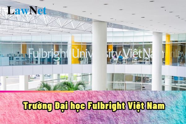 What is the abbreviation of Fulbright University Vietnam? How does it admit Vietnamese students?