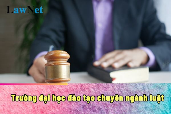 Các trường đại học đào tạo chuyên ngành Luật tiêu biểu hiện nay?