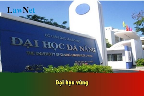 Đại học vùng xây dựng kế hoạch đổi mới mấy năm một lần?