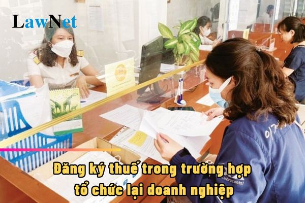 Đăng ký thuế trong trường hợp tổ chức lại doanh nghiệp thì đăng ký với cơ quan nào?