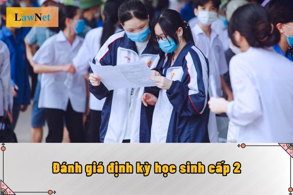 Đánh giá định kỳ học sinh cấp 2 là gì? Đánh giá định kỳ học sinh cấp 2 được thực hiện như thế nào?