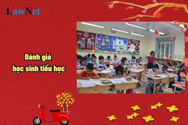 Đánh giá học sinh tiểu học thì đánh giá của ai là quan trong nhất?