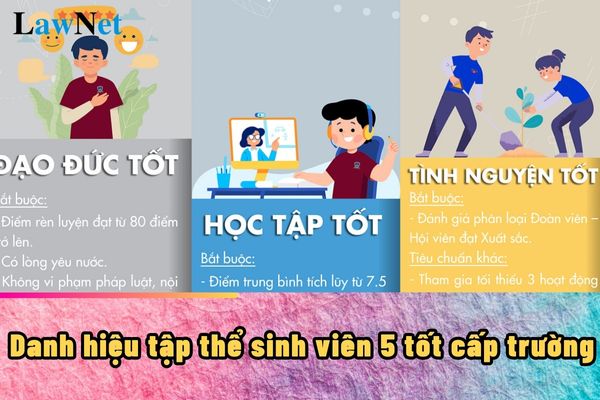 Các tiêu chuẩn cần đạt để được danh hiệu tập thể sinh viên 5 tốt cấp trường là?