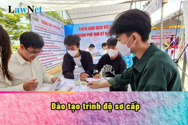 Đào tạo trình độ sơ cấp sẽ áp dụng với cơ sở giáo dục nào? Đối tượng đăng ký học là những ai?