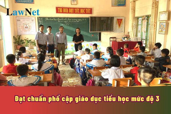 Đạt chuẩn phổ cập giáo dục tiểu học mức độ 3 là như thế nào? Cần có những điều kiện gì để đạt chuẩn?