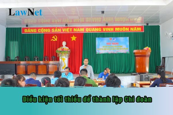 Điều kiện tối thiểu để thành lập Chi đoàn là gì? Đoàn viên chi đoàn cần những điều kiện gì?