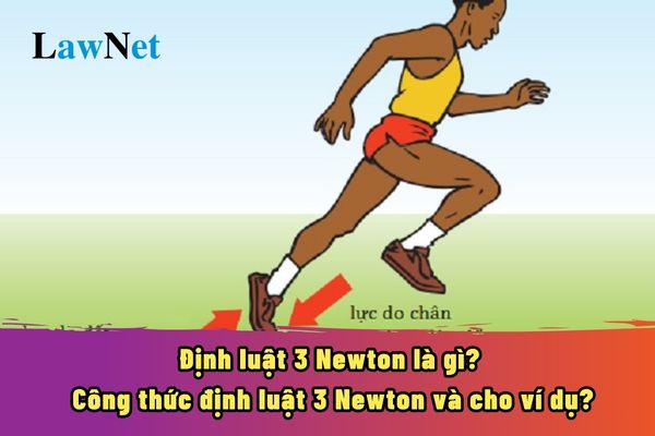 Định luật 3 Newton là gì? Công thức định luật 3 Newton và cho ví dụ?