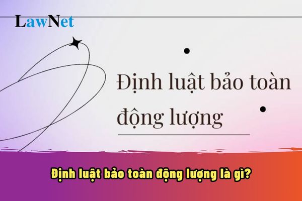 Định luật bảo toàn động lượng là gì? Ví dụ áp dụng định luật bảo toàn động lượng?