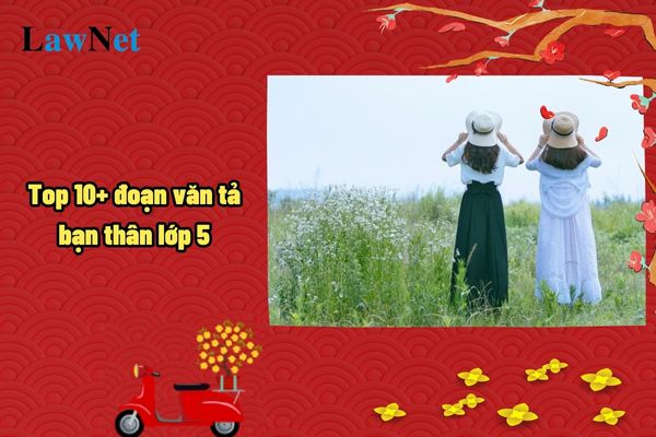 Top 10+ đoạn văn tả bạn thân lớp 5? Hiệu trưởng có thẩm quyền xác nhận hoàn thành chương trình của học sinh tiểu học không?