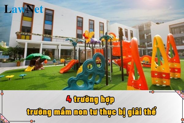 4 trường hợp nào trường mầm non tư thục bị giải thể?