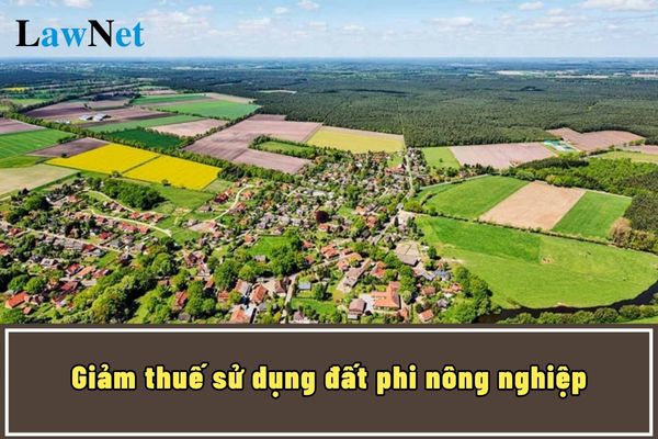 Có được giảm thuế sử dụng đất phi nông nghiệp đối với đất của doanh nghiệp sử dụng 30 phần trăm nhân công là bệnh binh không?