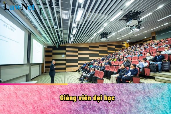 Giảng viên đại học có được hưởng chính sách từ đề án hỗ trợ học sinh, sinh viên khởi nghiệp không?