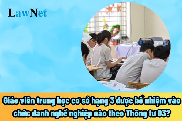 Giáo viên THCS hạng 3