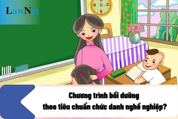 Giáo viên THCS có được tham gia Chương trình bồi dưỡng theo tiêu chuẩn chức danh nghề nghiệp?