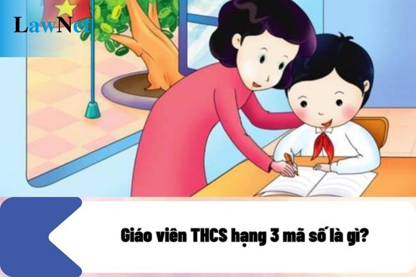 Giáo viên THCS hạng 3 mã số là gì? Giáo viên THCS hạng 3 được áp dụng hệ số lương của viên chức loại mấy?