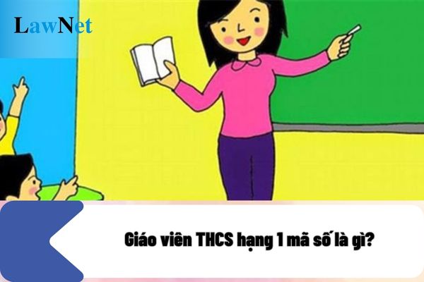 Giáo viên THCS hạng 1 mã số là gì? Giáo viên THCS hạng 1 áp dụng hệ số lương của viên chức loại mấy?