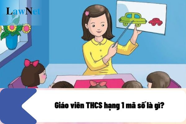 Giáo viên THCS hạng 1 có yêu cầu có bằng cử nhân không?