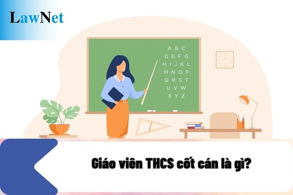 Giáo viên THCS cốt cán là gì? Muốn làm giáo viên cốt cán cần phải có những tiêu chuẩn nào?