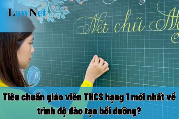 Tiêu chuẩn giáo viên THCS hạng 1 mới nhất về trình độ đào tạo bồi dưỡng?