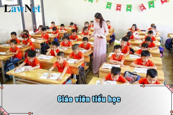 Giáo viên tiểu học cần có trình độ chuẩn như thế nào?