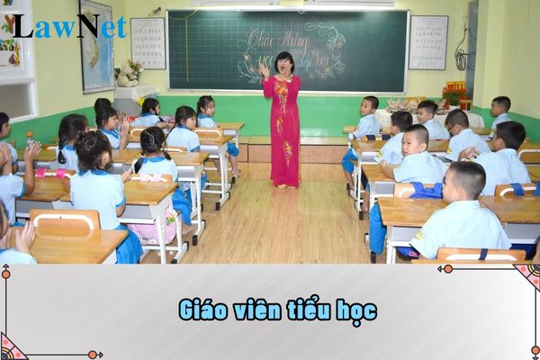 Giáo viên tiểu học có cần phải đáp ứng chuẩn nghề nghiệp về ngoại ngữ tiếng anh không?